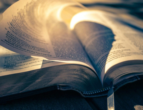 Bible sales are booming despite a decline in religiosity