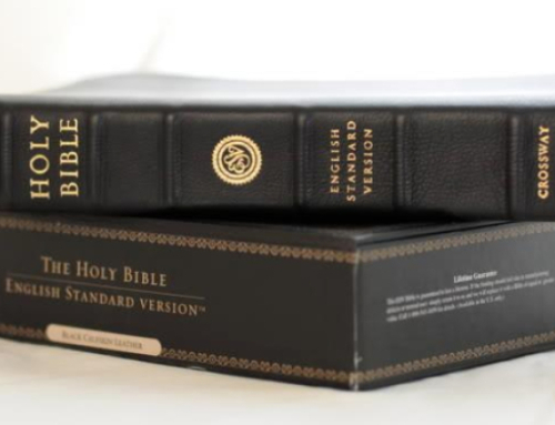 ESV Bible to undergo 1st revision in nearly 10 years