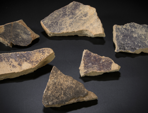 Archaeologists uncover ancient ‘factory’ used to produce coveted purple dye mentioned in Bible